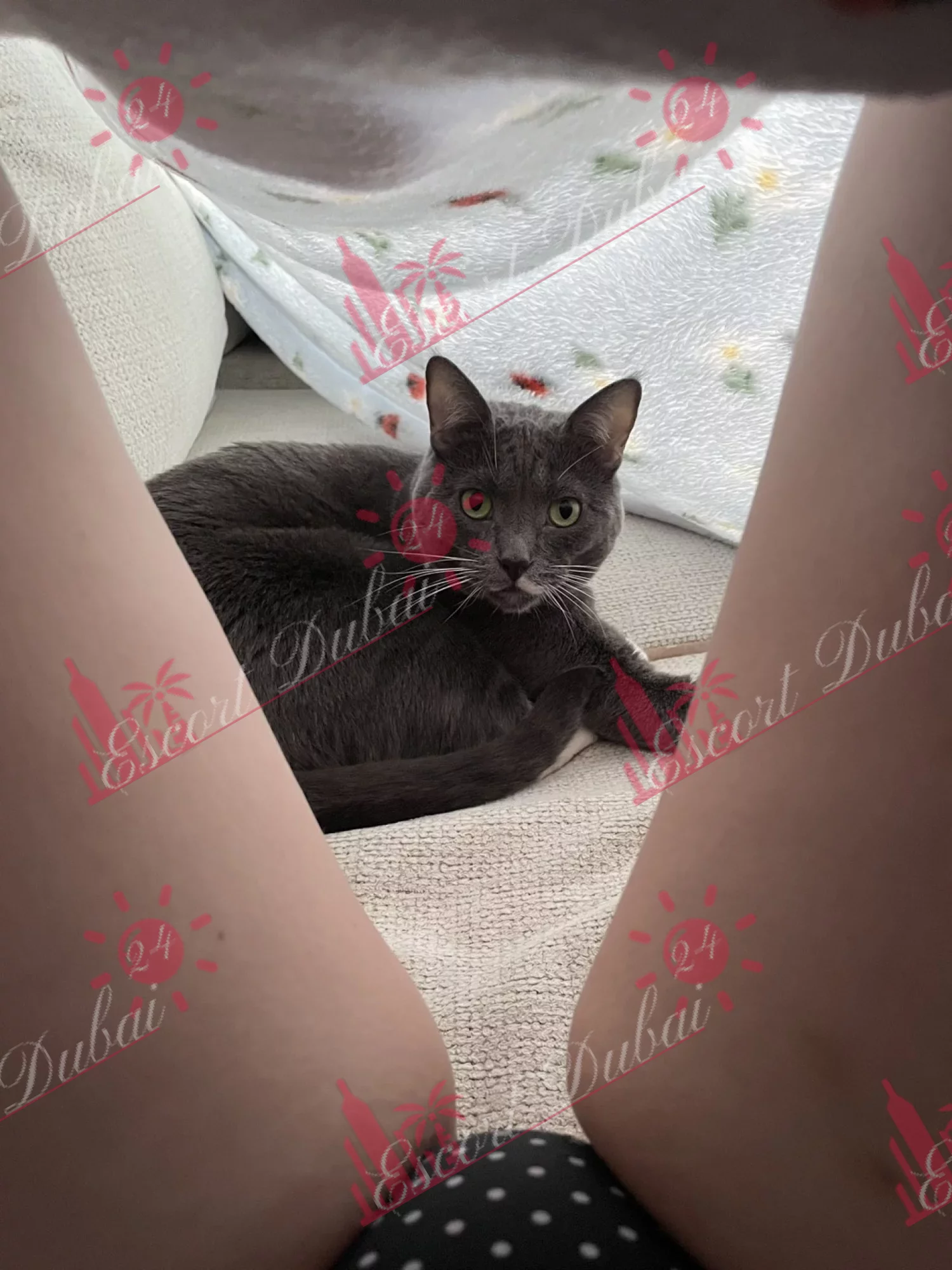 Tahmineh, 28 years old, 158 cm, 2